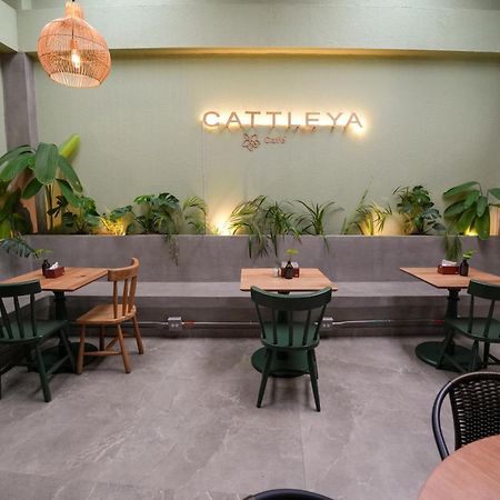 Apartamentos Housy Laureles Медельїн Екстер'єр фото